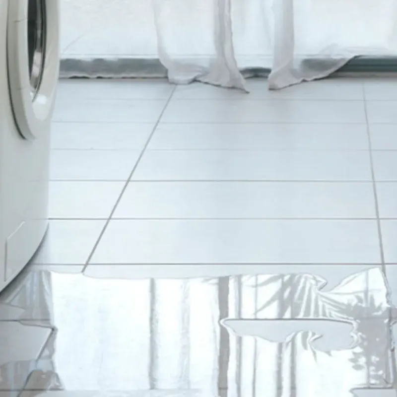 Appliance Leak Cleanup in Chesterfield, IN
