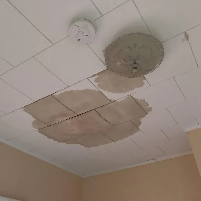 Ceiling Water Damage Repair in Chesterfield, IN
