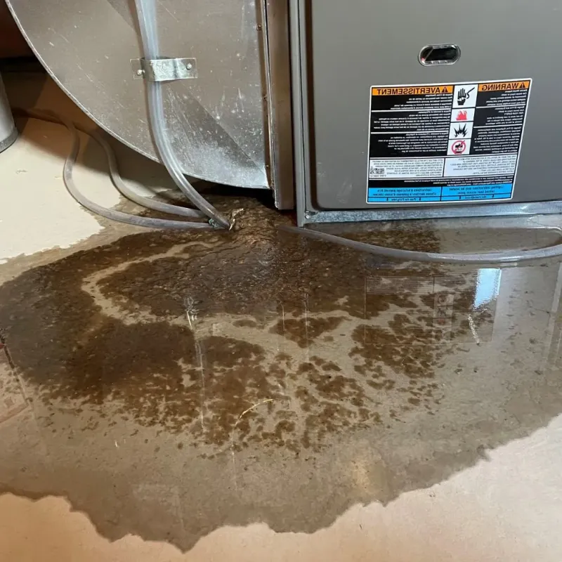 Pipe Burst and Leak Restoration in Chesterfield, IN