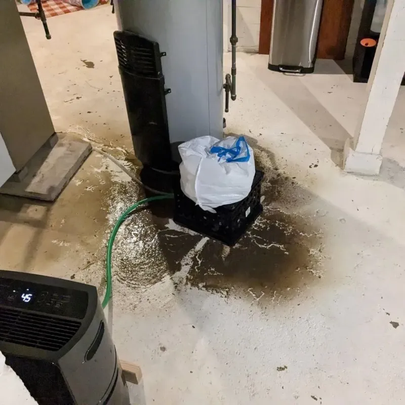 Sewage Backup Cleanup Service in Chesterfield, IN